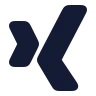 Xing icon preview