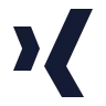Xing icon preview