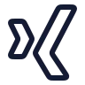 Xing icon preview