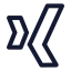 Xing icon with stroke sharp style