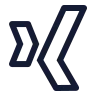 Xing icon preview