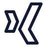 Xing icon preview