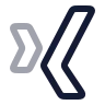 Xing icon preview