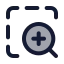 Zoominarea icon with duotone standard style